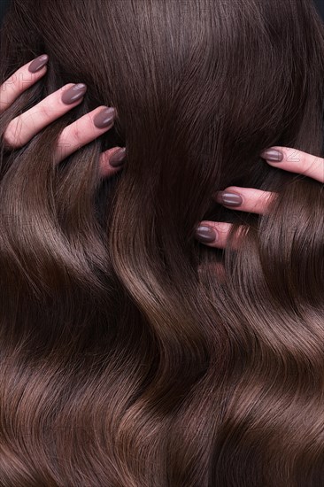 A closeup view of a bunch of shiny curls brown hair