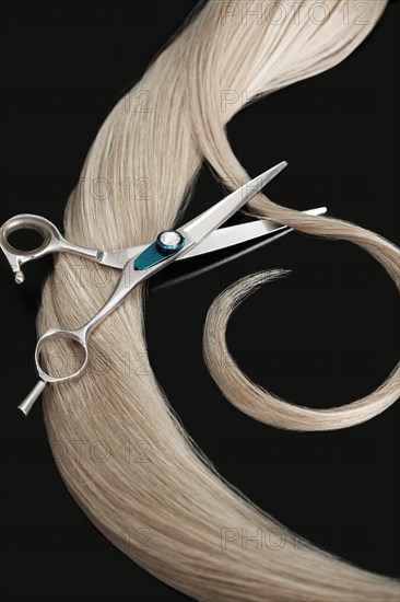 A strand of blond hair with scissors on a black background. Close-up