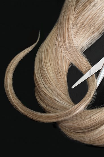 A strand of blond hair with scissors on a black background. Close-up