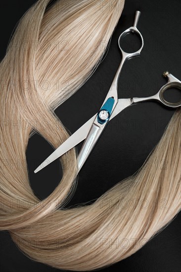 A strand of blond hair with scissors on a black background. Close-up