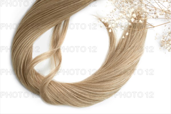 A strand of blond hair on a white background. Close-up