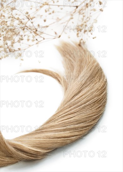 A strand of blond hair on a white background. Close-up