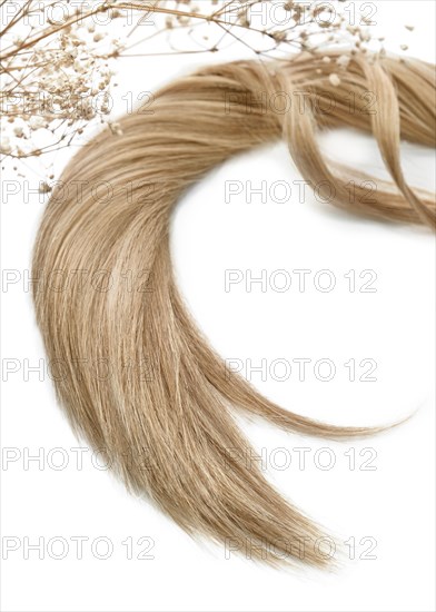 A strand of blond hair on a white background. Close-up