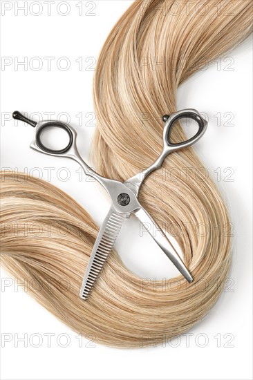 A strand of blond hair with scissors on a white background. Close-up