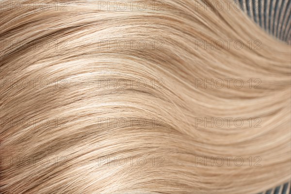 A strand of blond hair on a white background. Close-up