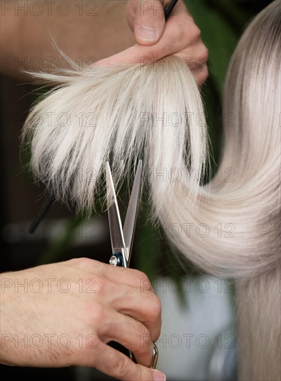 Young woman in a hairdressing salon dyes her hair blond and cuts hair