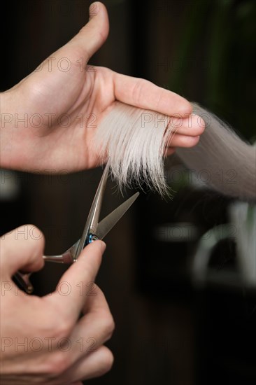 Young woman in a hairdressing salon dyes her hair blond and cuts hair