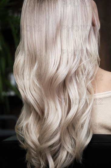 Young woman in a hairdressing salon dyes her hair blond. beauty face and hair. Back view