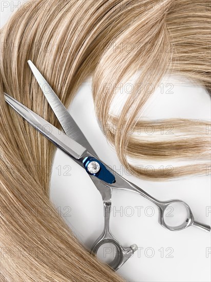 A strand of blond hair with scissors on a white background. Close-up