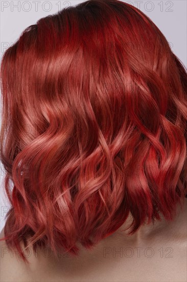 Beautiful girl with multi-colored hair and classic hairstyle. Beauty face. Photo taken in the studio