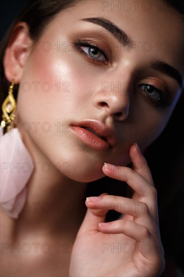 Beautiful girl with classic evening make up. Beauty face. Photos shot in studio