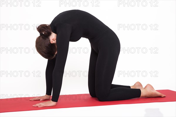 Beautiful athletic girl in a black suit doing yoga. mardjariasna asana