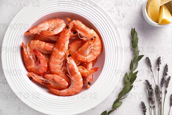 Boiled shrimps in a white plate with lemon
