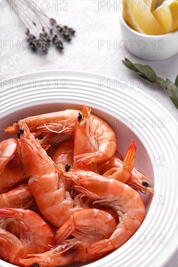 Boiled shrimps in a white plate with lemon