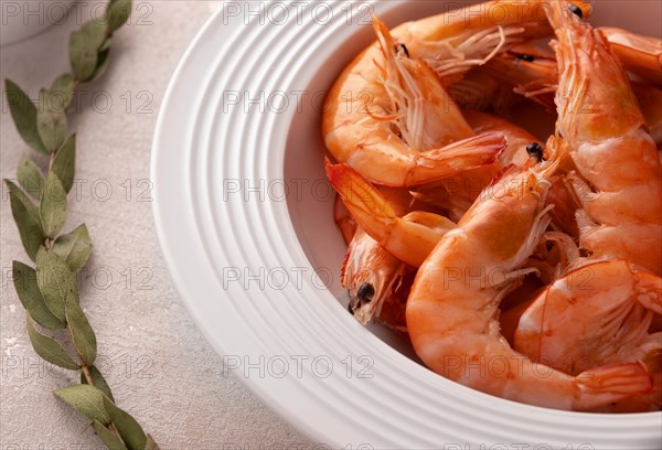 Boiled shrimps in a white plate with lemon