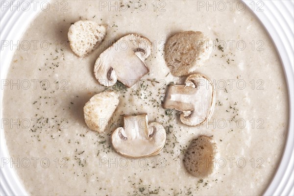 Creamy chicken soup with mushrooms on a white plate