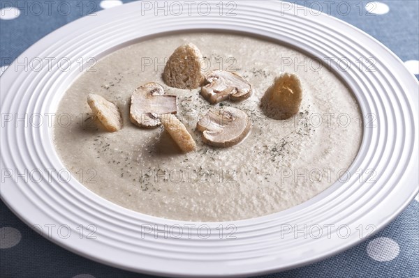 Creamy chicken soup with mushrooms on a white plate