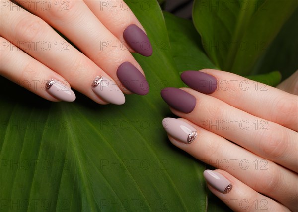 Tender neat manicure on female hands on a background of green leaves. Nail design