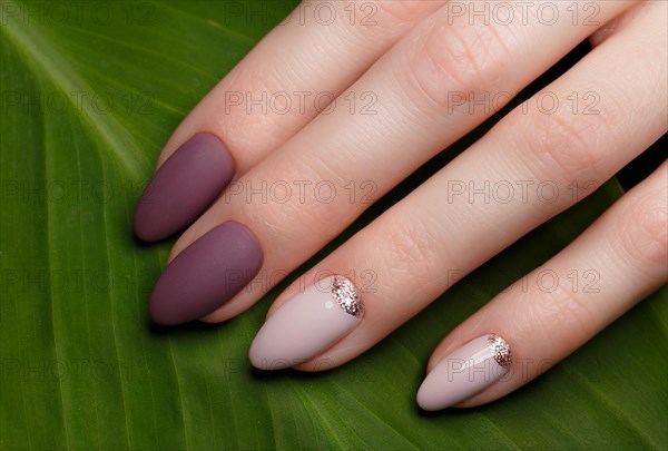 Tender neat manicure on female hands on a background of green leaves. Nail design