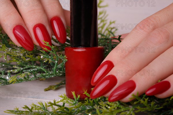 Bright festive red manicure on female hands. Nails design