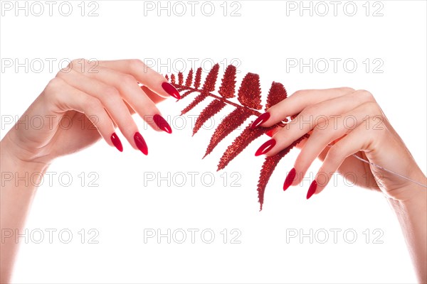 Bright festive red manicure on female hands. Nails design