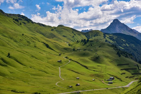 Alpine meadows in Hochkrumbach at the Hochtannbergpass in Vorarlberg