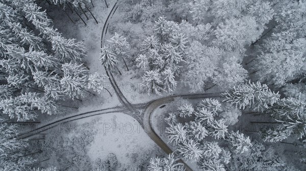 Drone image of a coniferous forest in winter