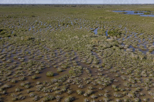 Everglades National Park is a national park in the U.S. state of Florida. The largest subtropical wilderness in the United States