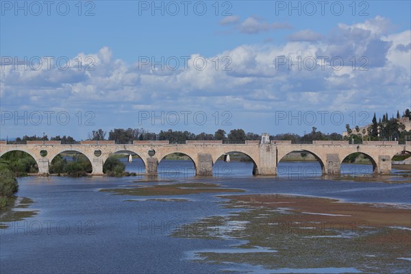 Historic stone arch bridge Puente de Palmas built 15th century over the river Rio Guadiana