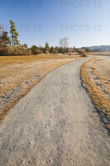 First rays of sunlight illuminate the field path in the nature reserve along Lake Pfaeffikon in the Canton of Zurich