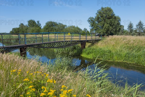 River Blotnica