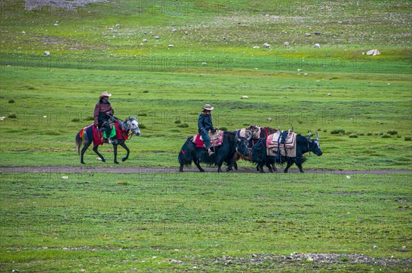 Pilgrims on the Kailash Kora