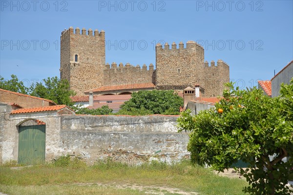 Historic fortification Castillo Castle with orange tree