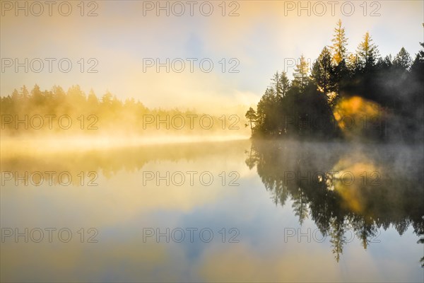 Backlit sunrise with wafts of mist over the mirror-smooth moorland lake Etang de la Gruere in the canton of Jura