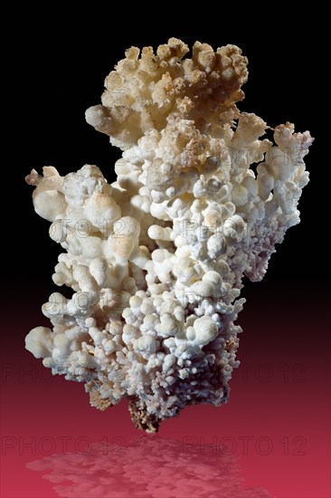 Aragonite var. Flos Ferri