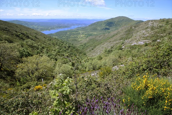 View into the Valle del Jerte on Embalse del Jerte near Plasencia