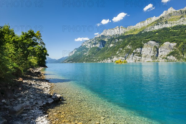 View from the shore of Lake Walen of the small chive island in the middle of the turquoise water at the foot of the Churfirsten and with the Schaeren mountain range in the background