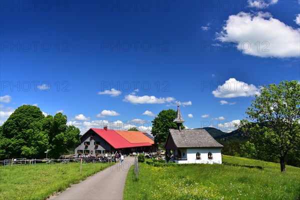 Koenigsalpe near Stiefenhofen in Allgaeu