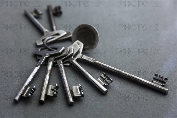 Key ring with keys for prison cells