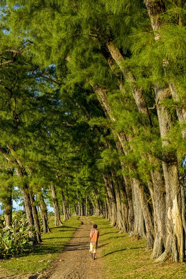 Man walking through the artifical planted tree line