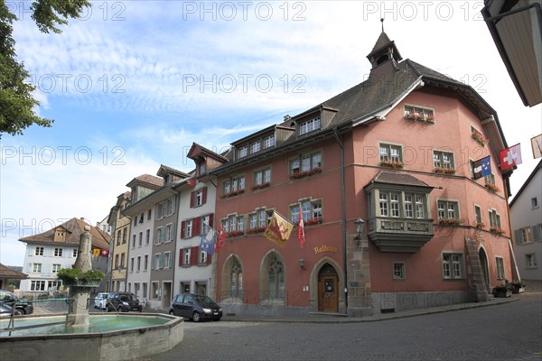 City Hall with Flags