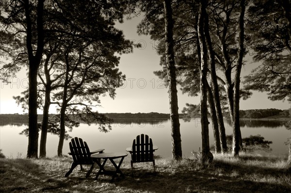 Morning on the Bass River