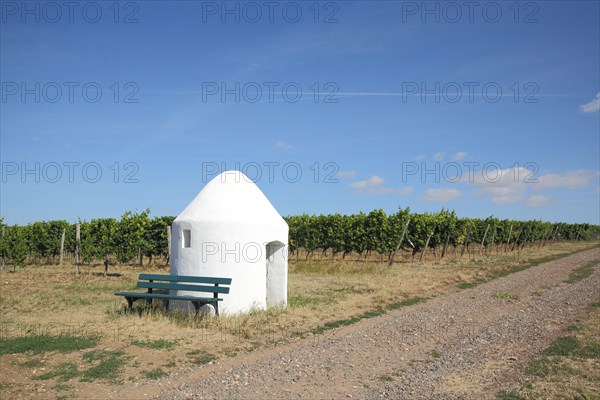 Trullo with bench in the vineyards near Monsheim