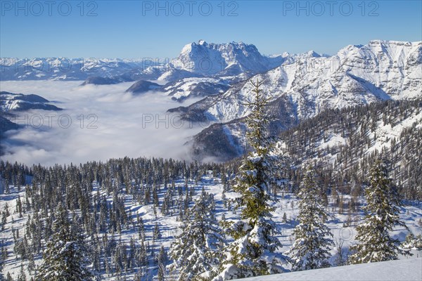 View of the Wilder Kaiser