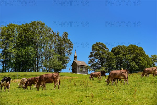 Amenegg Chapel on the Boedele near Dornbirn in the Bregenzerwald