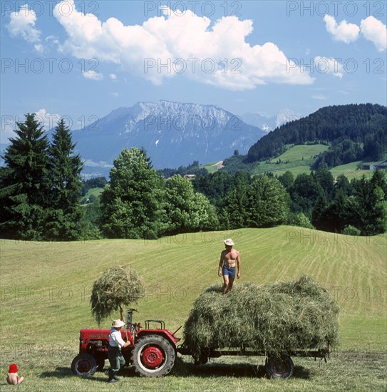 Hay harvest near Oberaudorf in front of the Kaisergebirge