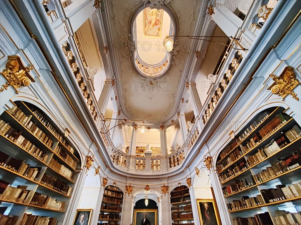 Duchess Anna Amalia Library