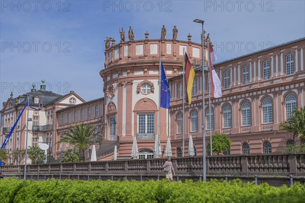 Rhine side Biebrich Palace