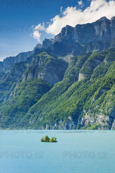 Sunny view over Lake Walen with the small chive island in the turquoise water and mountain range Schaeren and Leistchamm in the background