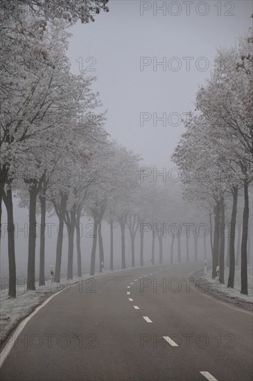 Alley in Bergheim near Augsburg